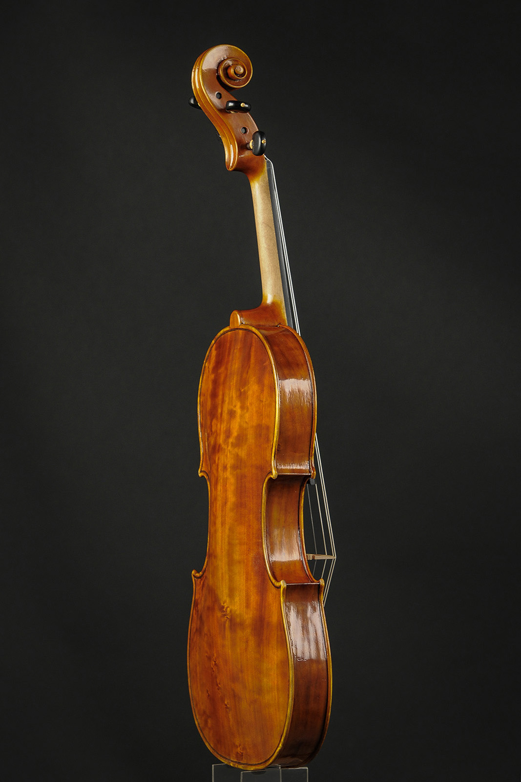 Antonio Stradivari Cremona 1672 “Populus“ cm 42 - Image 4