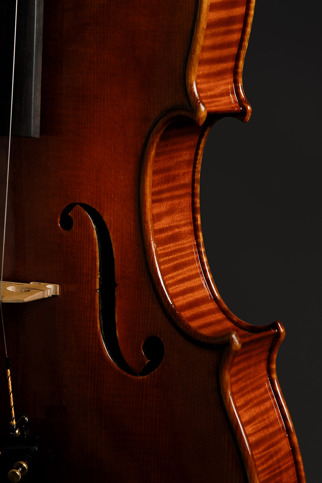 Antonio Stradivari Cremona 1690 “Tuscan“ - Image 6