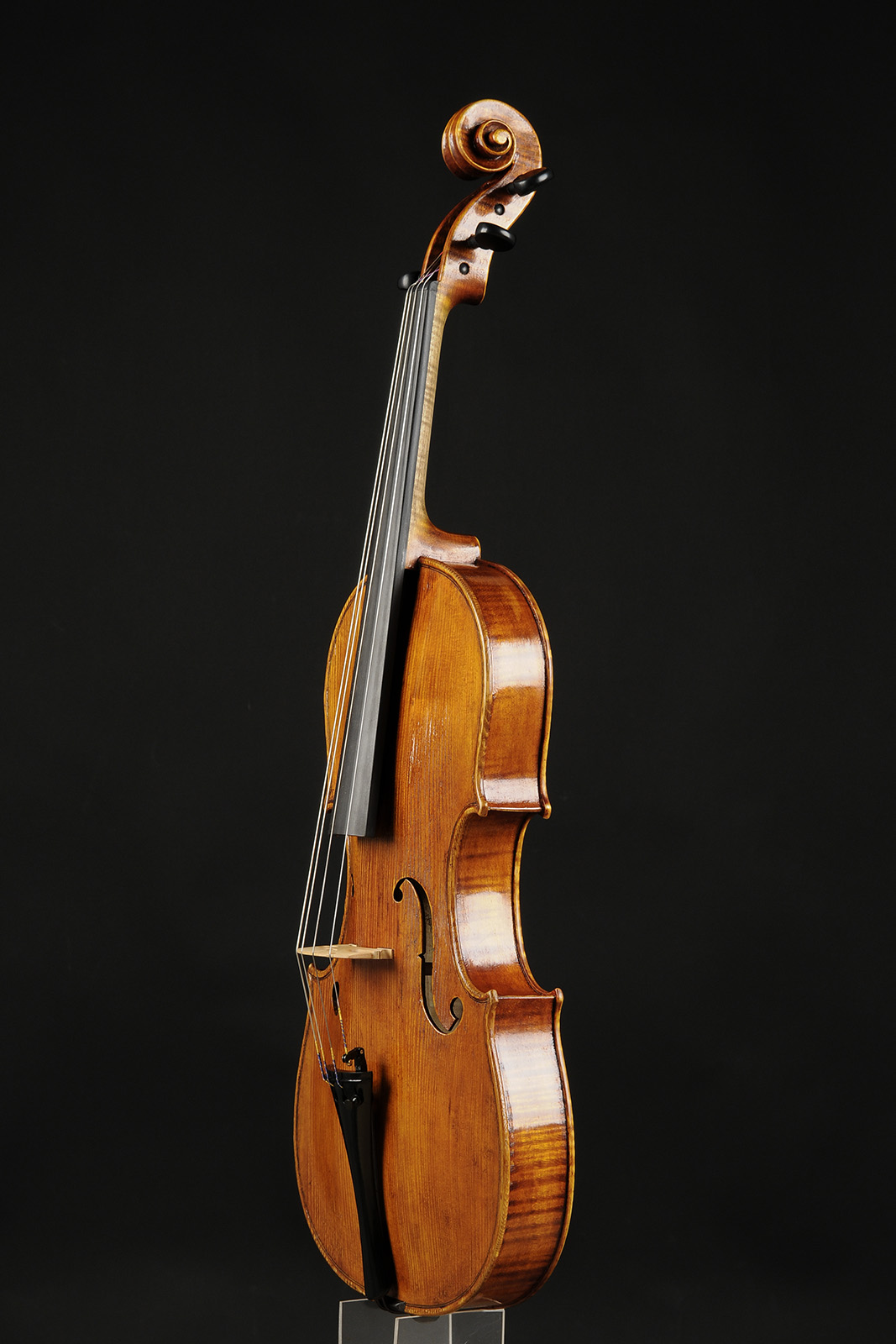 Antonio Stradivari Cremona 1672 “Gustav“ cm 42 - Image 5